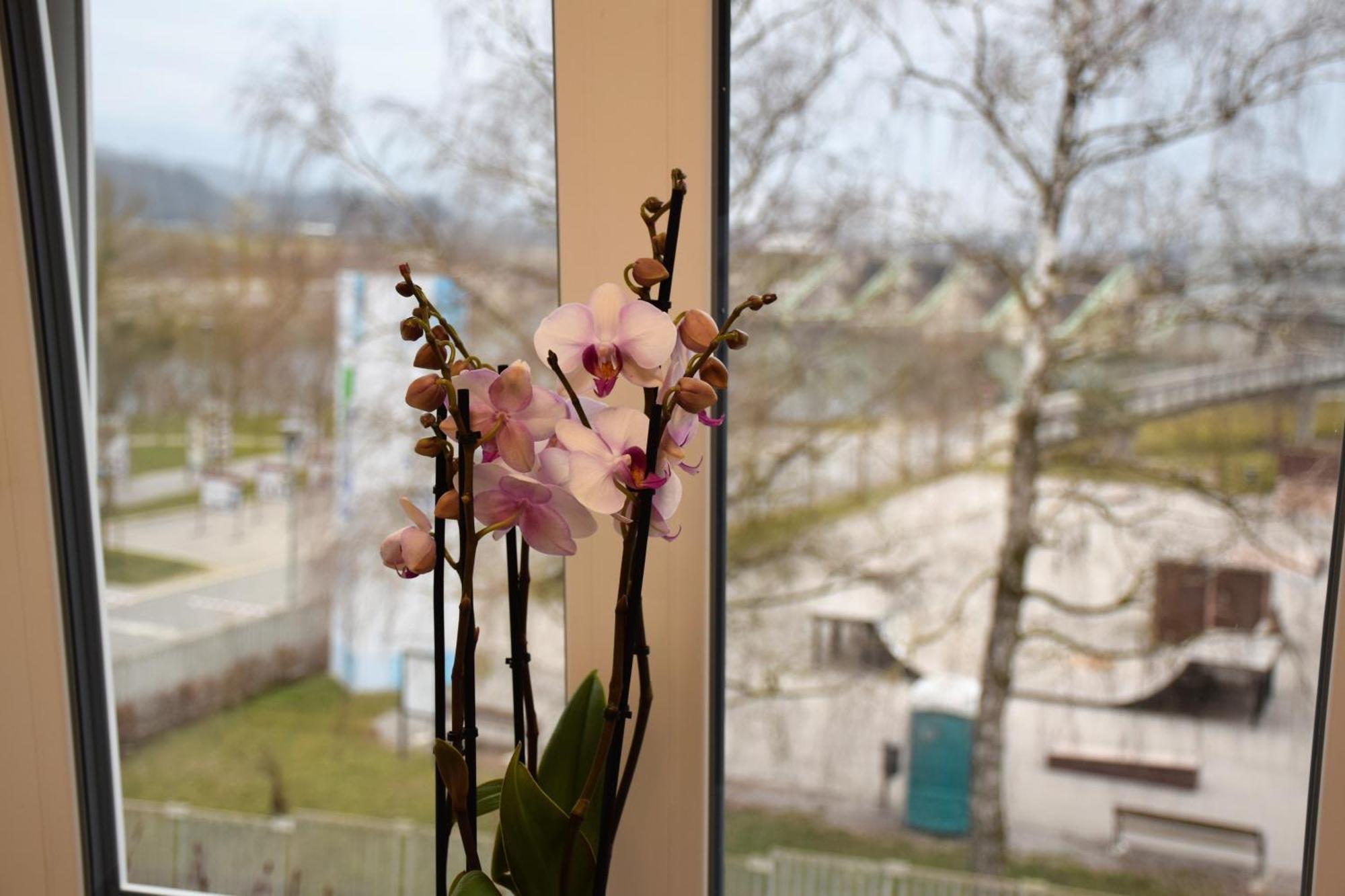 Guesthouse Pr'Sefu Brežice 객실 사진